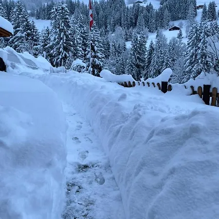 Gassi 4 Adelboden